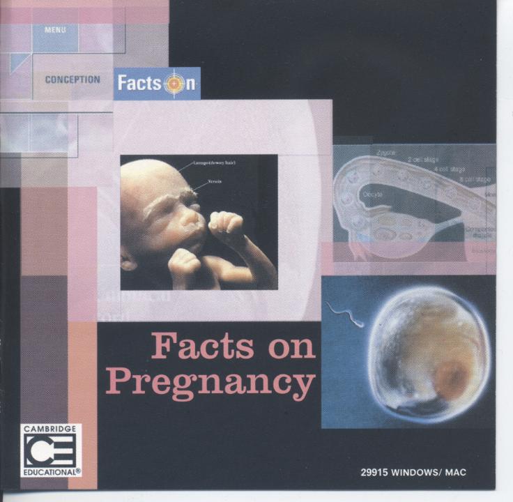 Facts on pregnancy 懷孕的真相