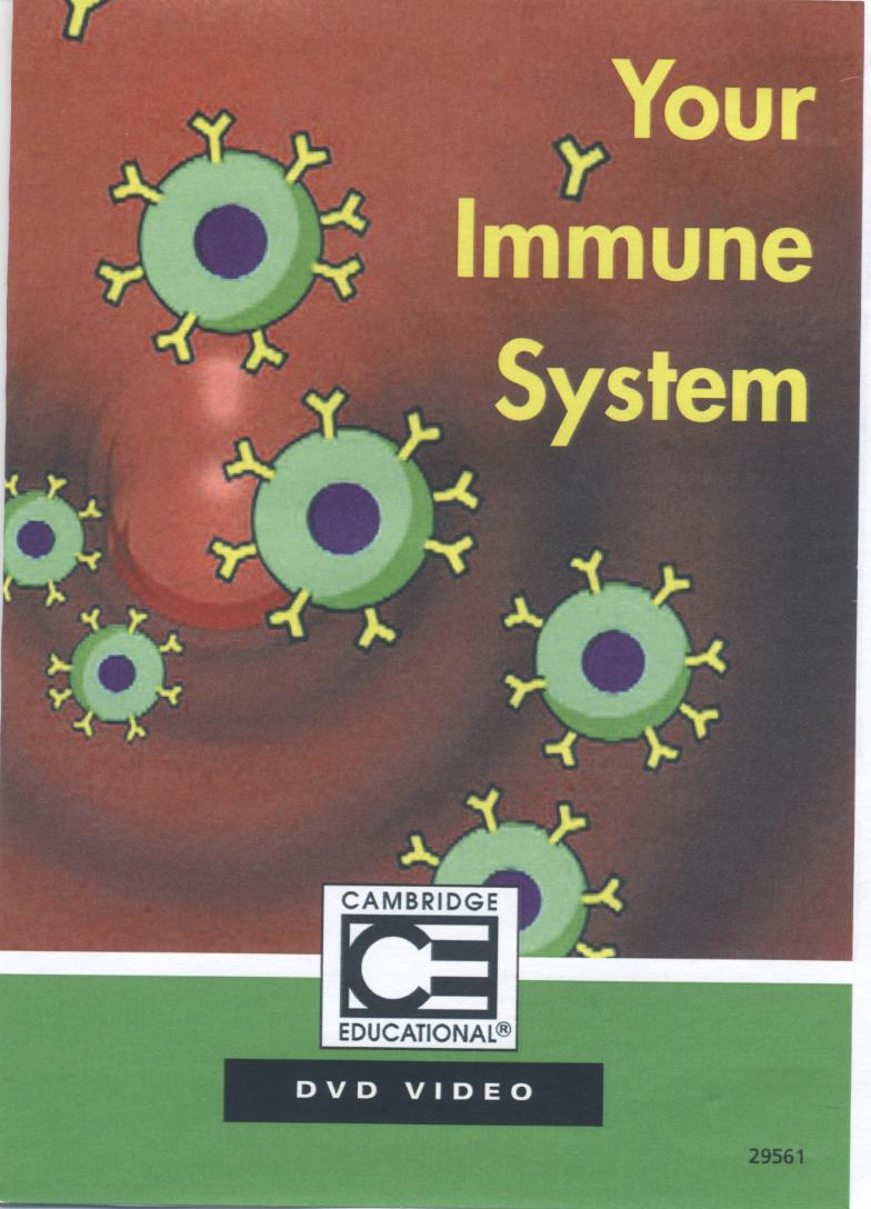 Your immune system 你的免疫系統