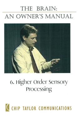 Higher order sensory processing 腦的運作系列: 6. 高階命令感覺處理