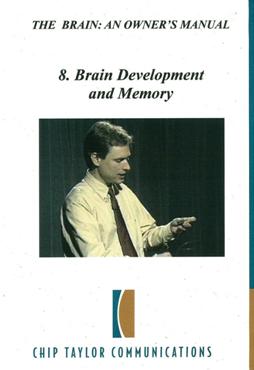 Brain development and memory 腦的運作系列:8.腦的發展與記憶力