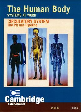 Circulatory system 人體:1.循環系統 the plasma pipeline