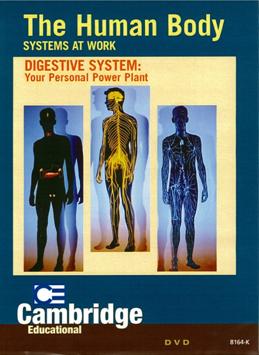 Digestive system 人體:2.消化系統 your personal power plant