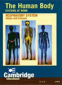 Respiratory system 人體:6.呼吸系統 intake and exhaust