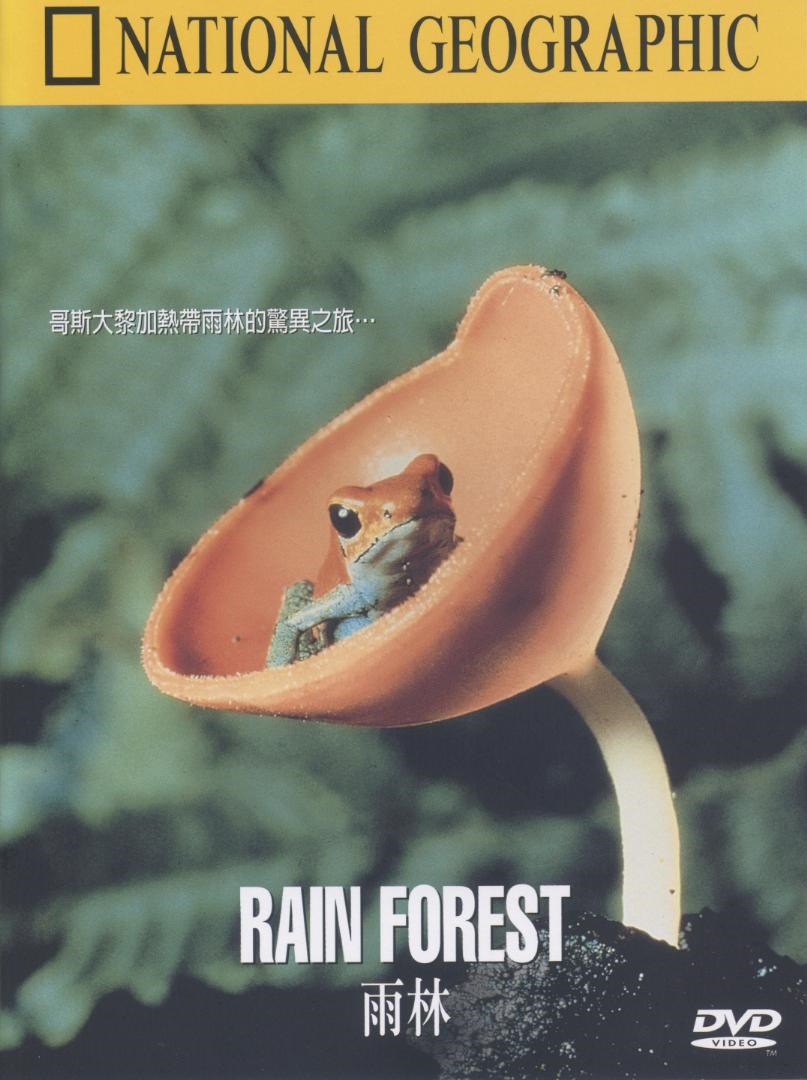 雨林 Rain Forest 哥斯大黎加熱帶雨林的驚異之旅