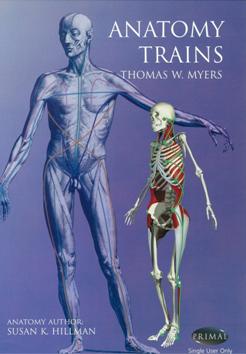 Anatomy trains