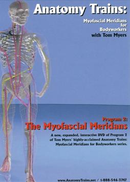 Anatomy trains 運動傷害診療:人體運動剖析 myofascial meridians for body workers