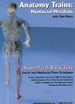 Superficial back line fascial and myofascial plane techniques