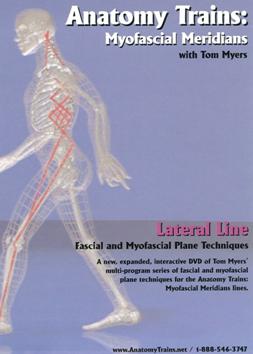 Lateral line fascial and myofascial plane techniques