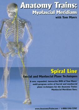 Spiral line fascial and myofascial plane techniques