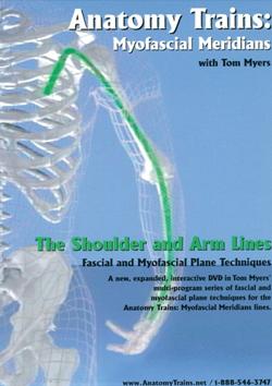 The shoulder and arm lines fascial and myofascial plane techniques