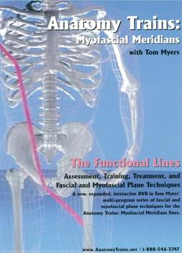 The functional lines assessment- training- treatment- and fascial and myofascial plane techniques