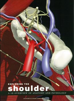 Exploring the shoulder 探索肩膀: 3D 解剖與病理概要 a 3D overview of anatomy and pathology