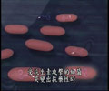 認識抗藥性病菌 Recognizing antibiotic resistors : creating the superbug