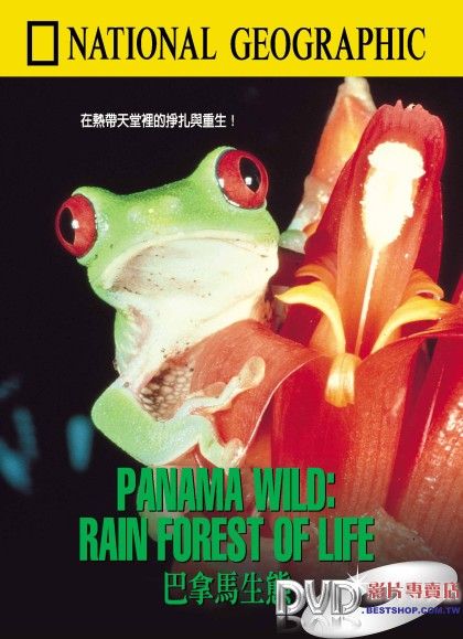 巴拿馬生態 Panama wild : rain forest of life