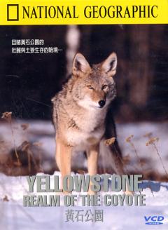 黃石公園 Yellowstone : realm of the coyote