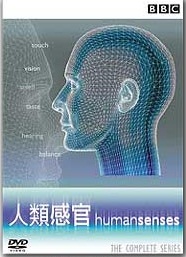 人類的感官 Human sense