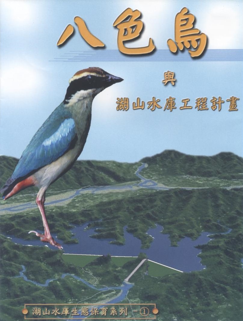 八色鳥與湖山水庫工程計畫 Pitta nympha