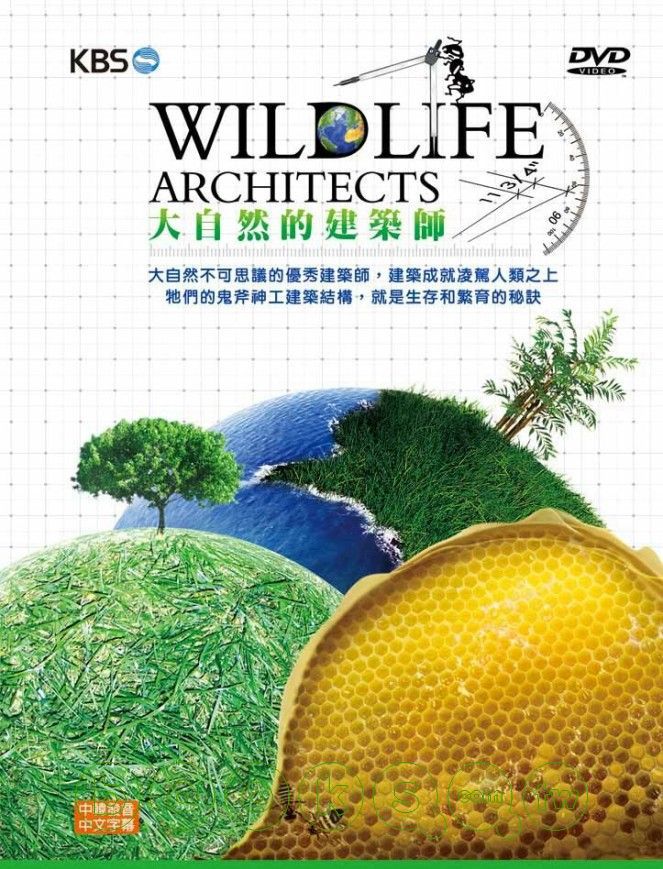 大自然的建築師 Wildlife architects