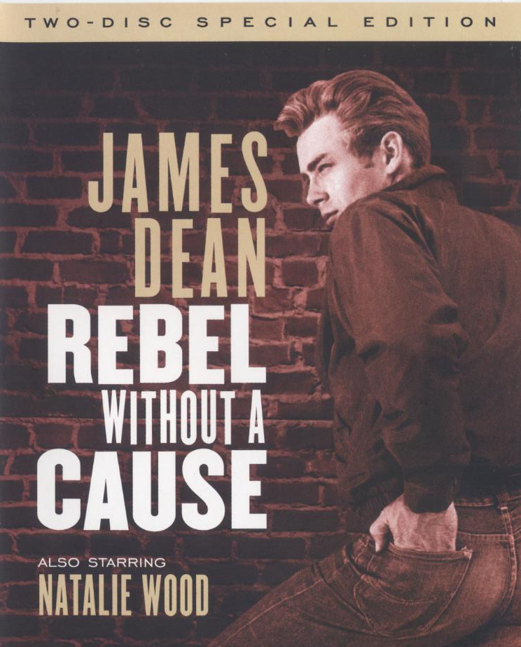 養子不教誰之過 Rebel without a cause