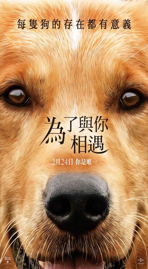 為了與你相遇 : A dog