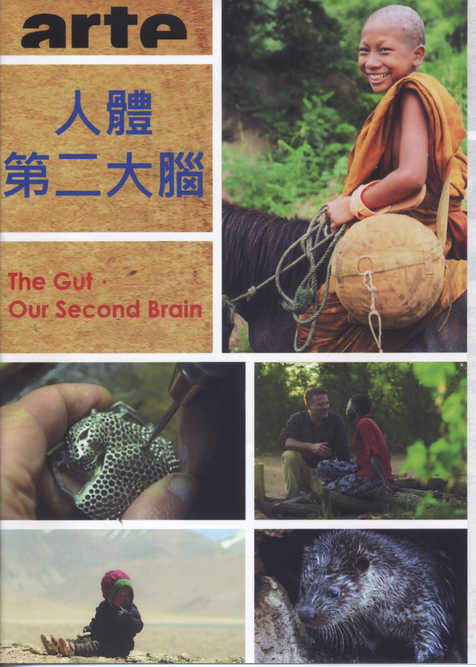 人體第二大腦 : The gut- our second brain.