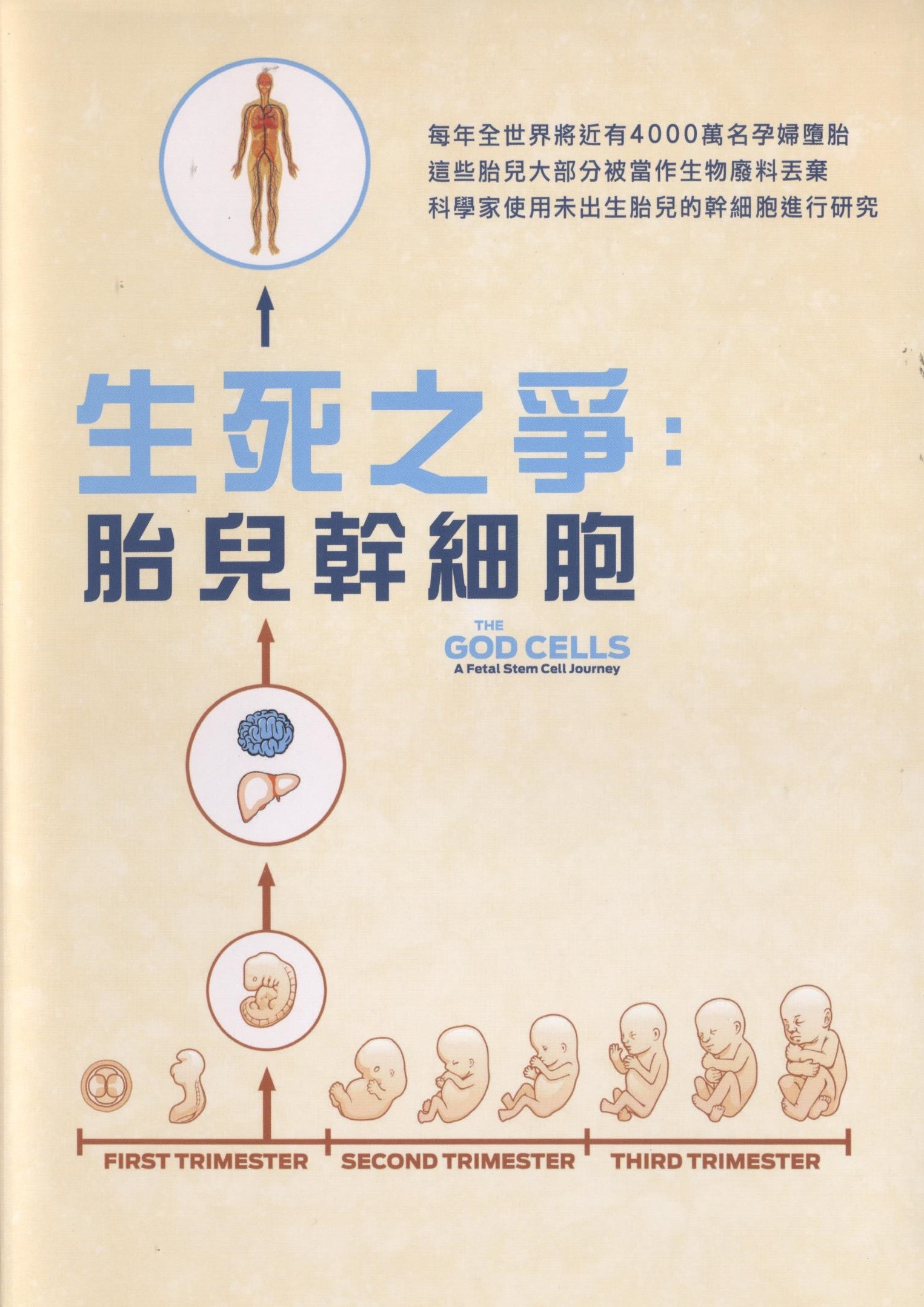 生死之爭： : 胎兒幹細胞 = The god cells : a fetel stem cell journey.