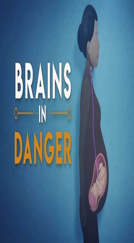 瀕危的大腦 : 人類智能退化的隱憂 = Brains in danger.