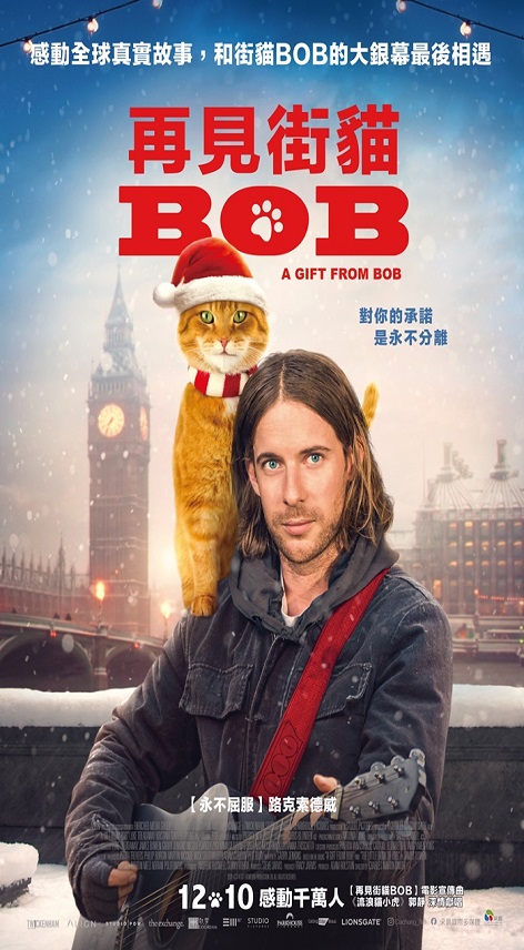 再見街貓BOB : A gift from BOB